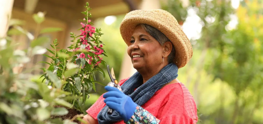 An older woman with grey hair smiling while gardening.